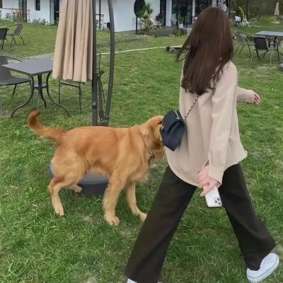 轰天俏娇娃